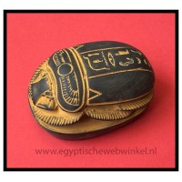 Grijze stenen scarabee Grijze stenen scarabee