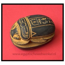 Grijze stenen scarabee Grijze stenen scarabee