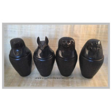 Canopische potten G