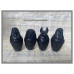 Canopische potten zk