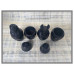Canopische potten zk