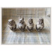 Canopische potten C