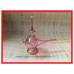 Aladin lamp (Roze)