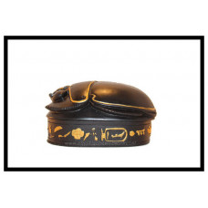 Scarabee sieraden doos