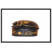 Scarabee sieraden doos