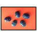 Blauwe scarabeeën M
