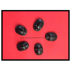 Black scarabs M