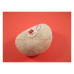 Scarabee zilveren hanger rood