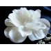 Gardenia parfum