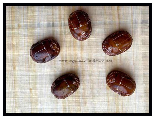 brown scarabs M