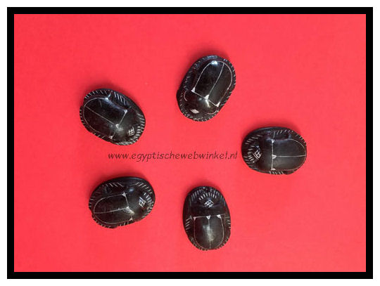 Black scarabs M