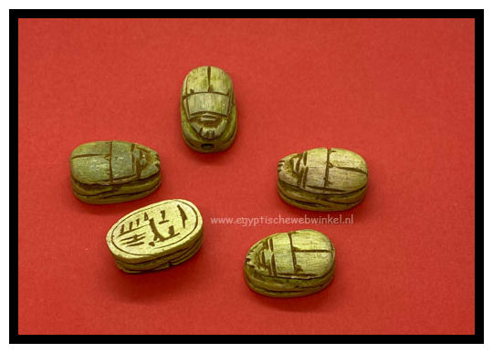 Small yellow scarabs