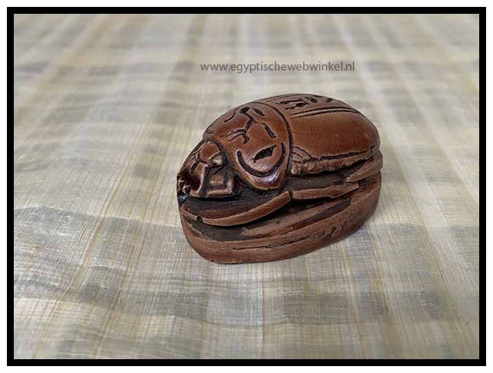 Brown scarabs A